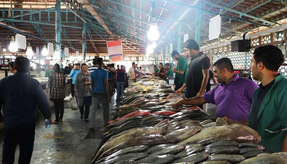 نظارت بر بازار ماهی بعثت 